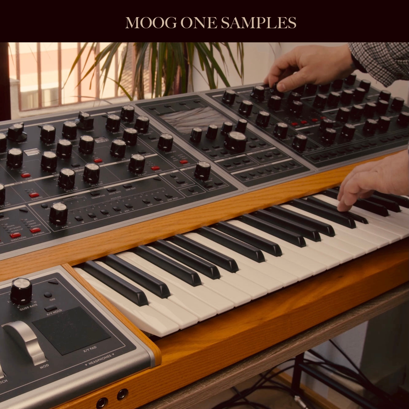 MOOG ONE SAMPLES